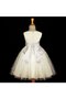 Tüll Empire Taille Duchesse-Linie Bodenlanges Blumenmädchenkleid mit Plissierungen