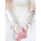Single Satin Elegant|Bescheiden Elfenbein Elegant|Bescheiden Brauthandschuhe