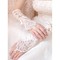Wunderbar Satin Spitze Saum Elfenbein Elegant|Bescheiden Brauthandschuhe