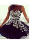 Prinzessin Schaufel-Ausschnitt Normale Taille Mini Ballkleid mit Applike