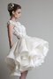 Spitze Geschichtes Juwel Ausschnitt Brautkleid mit Applike mit Bordüre
