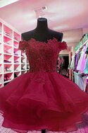 Zukunftsorientierte Ärmelloses Kurzes Abiballkleid mit Reißverschluss aus Organza